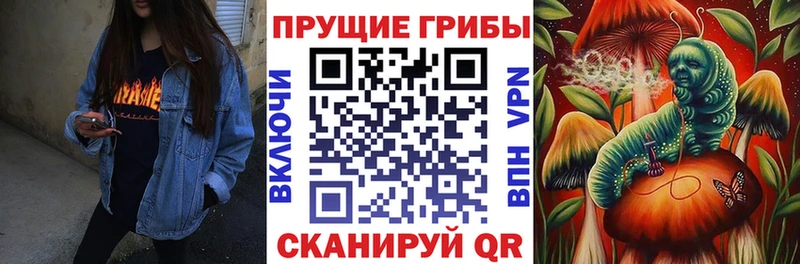 Галлюциногенные грибы мицелий  Протвино 
